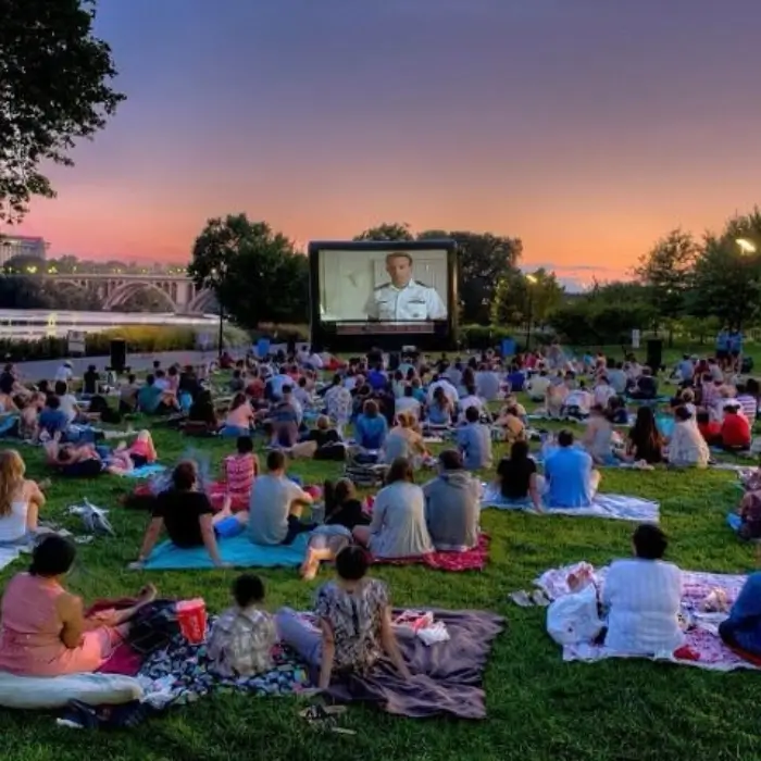 Movie Night or Backyard Theater
