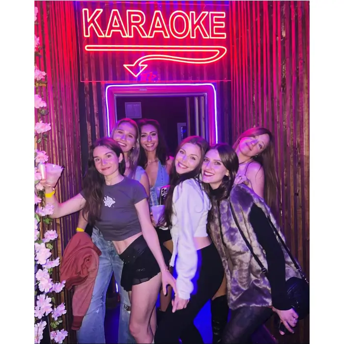 Karaoke or Music Party